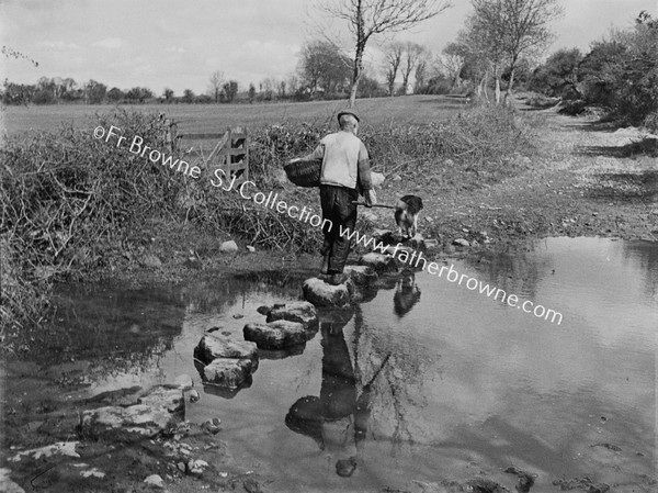 THE STEPPING STONES